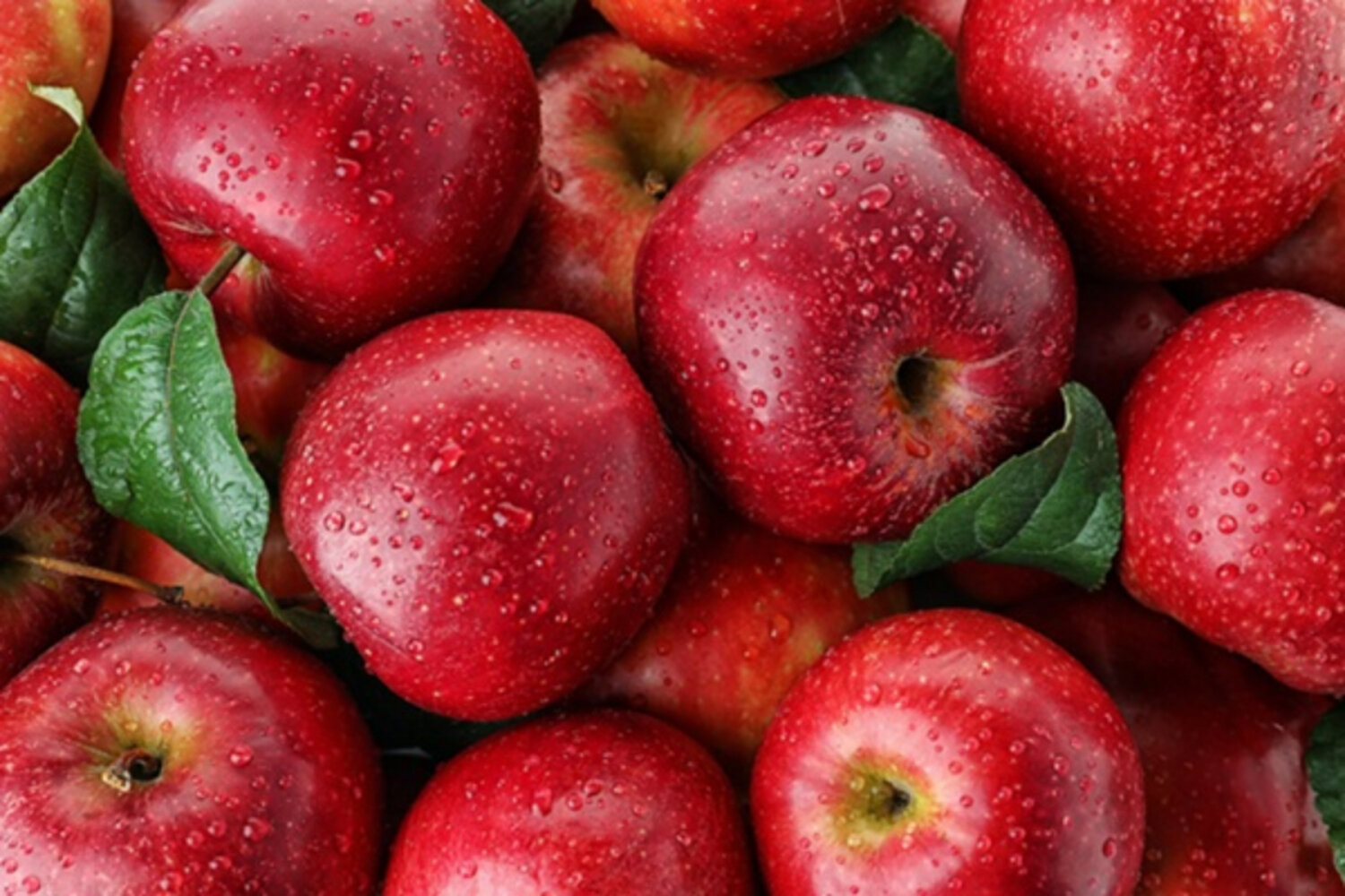 10 loại trái cây và rau củ bạn có thể ăn cả vỏ - 1