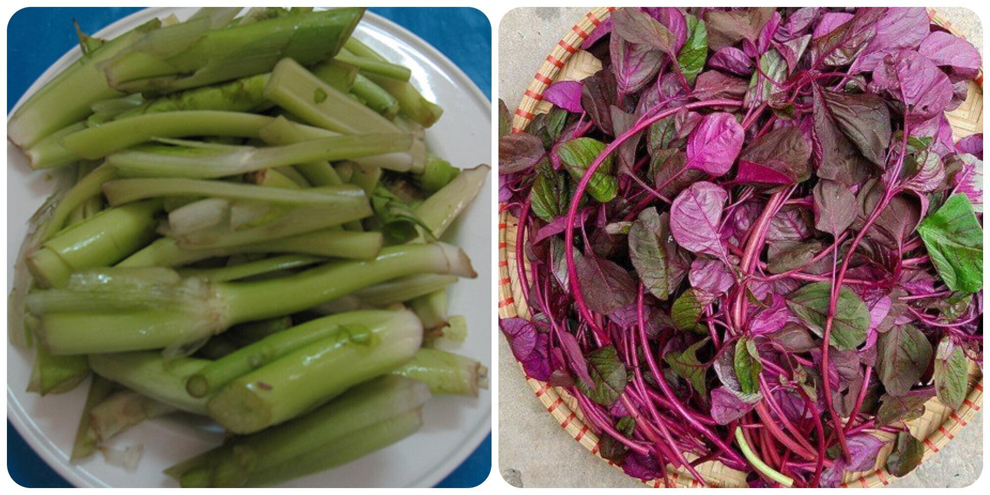 3 loại rau 'giúp sống lâu' mọc đầy ở Việt Nam nhưng ít người biết - 1