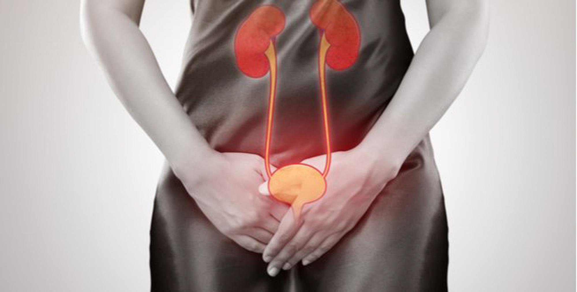Rau dừa nước có tác dụng gì? - 2