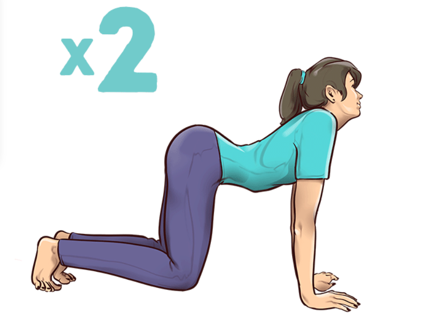 Bài tập thể dục hiệu quả cho người bị đau lưng, phòng ngừa bệnh về cột sống - 8