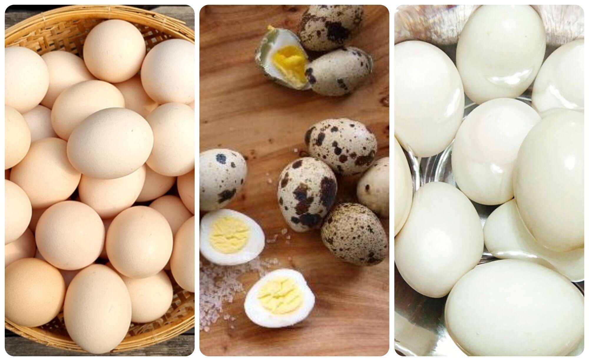 Trứng gà, trứng vịt, trứng cút: Ăn trứng nào bổ dưỡng nhất? - 1