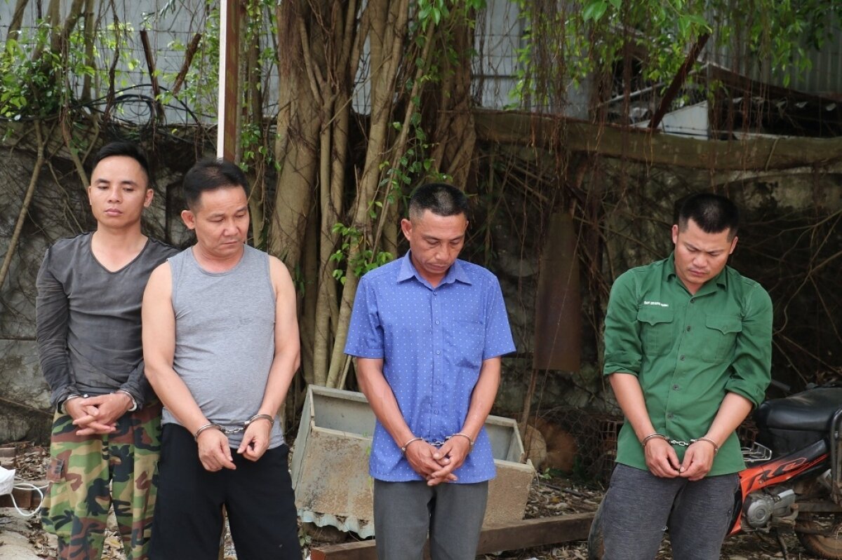 Chủ lò mổ ở Nghệ An cấu kết với đối tượng nghiện trộm hơn 2 tấn chó - 1
