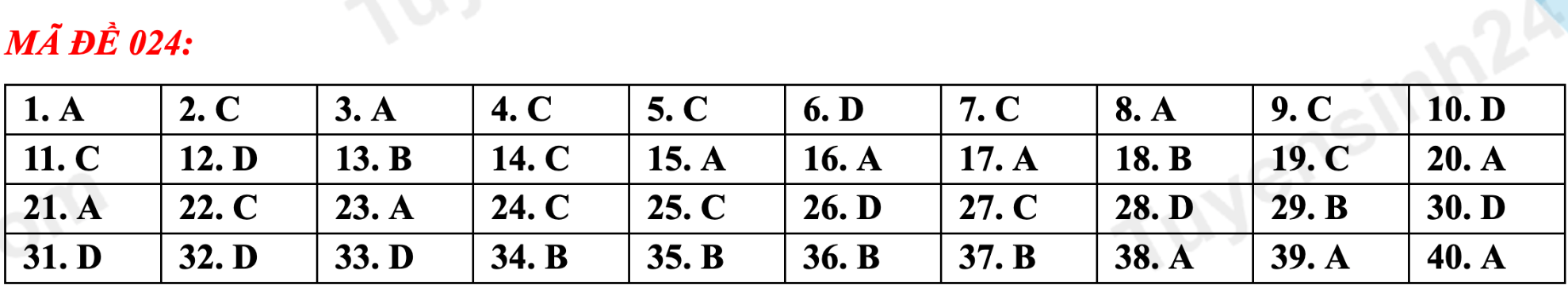 Gợi ý đáp án tất cả mã đề thi tuyển sinh lớp 10 môn Anh Hà Nội năm 2023 - 11