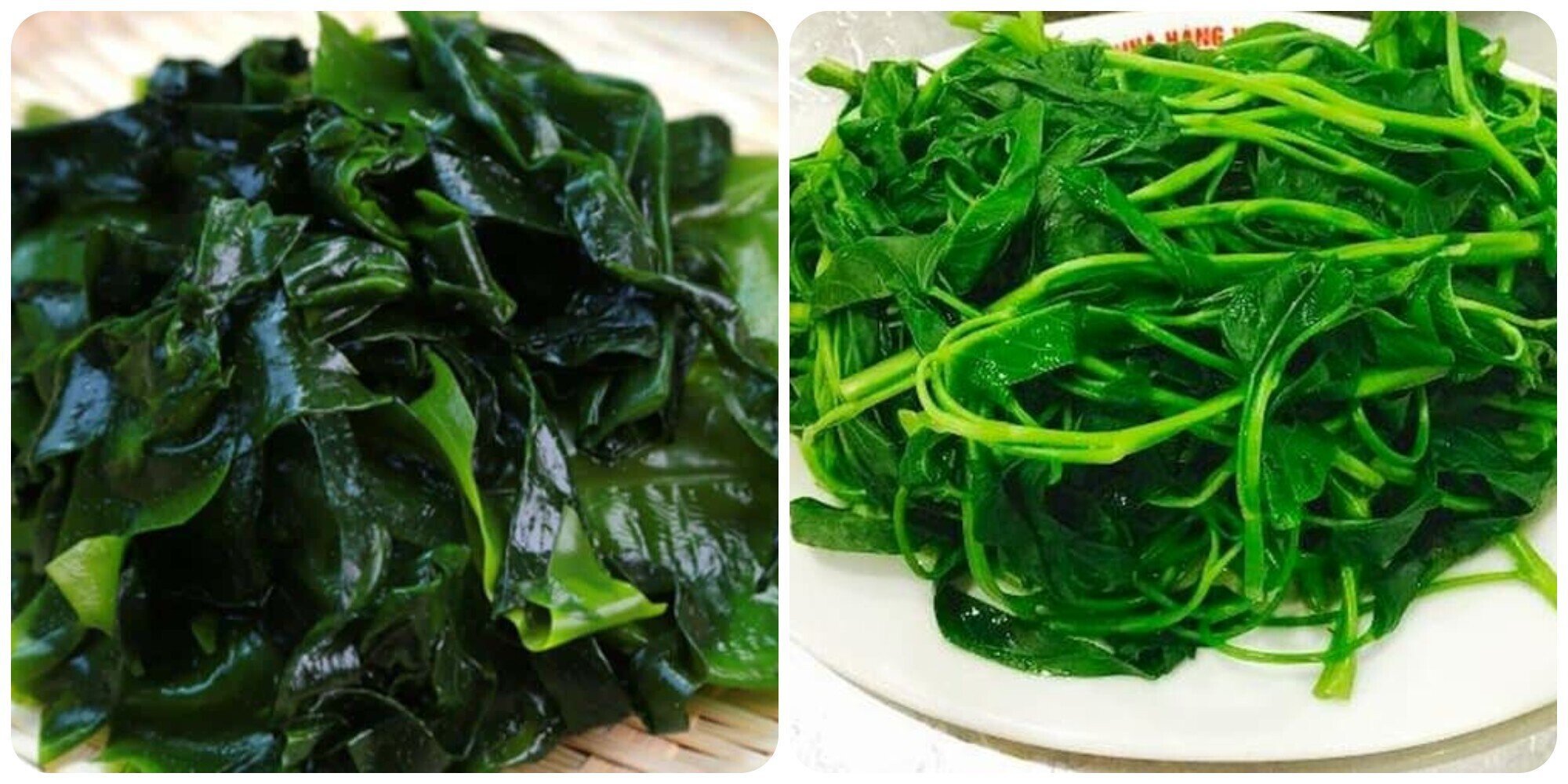 Phát hiện 2 loại rau 'trường thọ' được người Nhật ca ngợi mọc hoang ở Việt Nam - 1