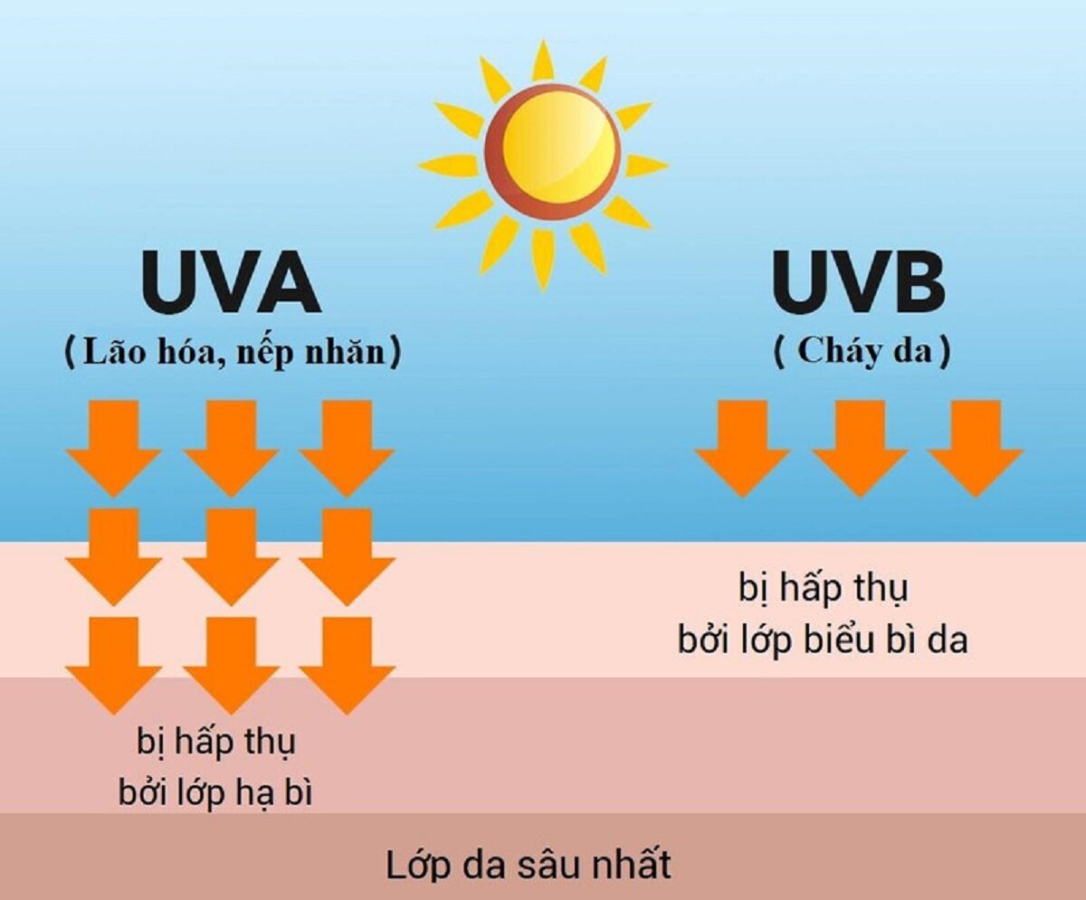 Tia UV kích thích sản sinh melanin làm đen da.