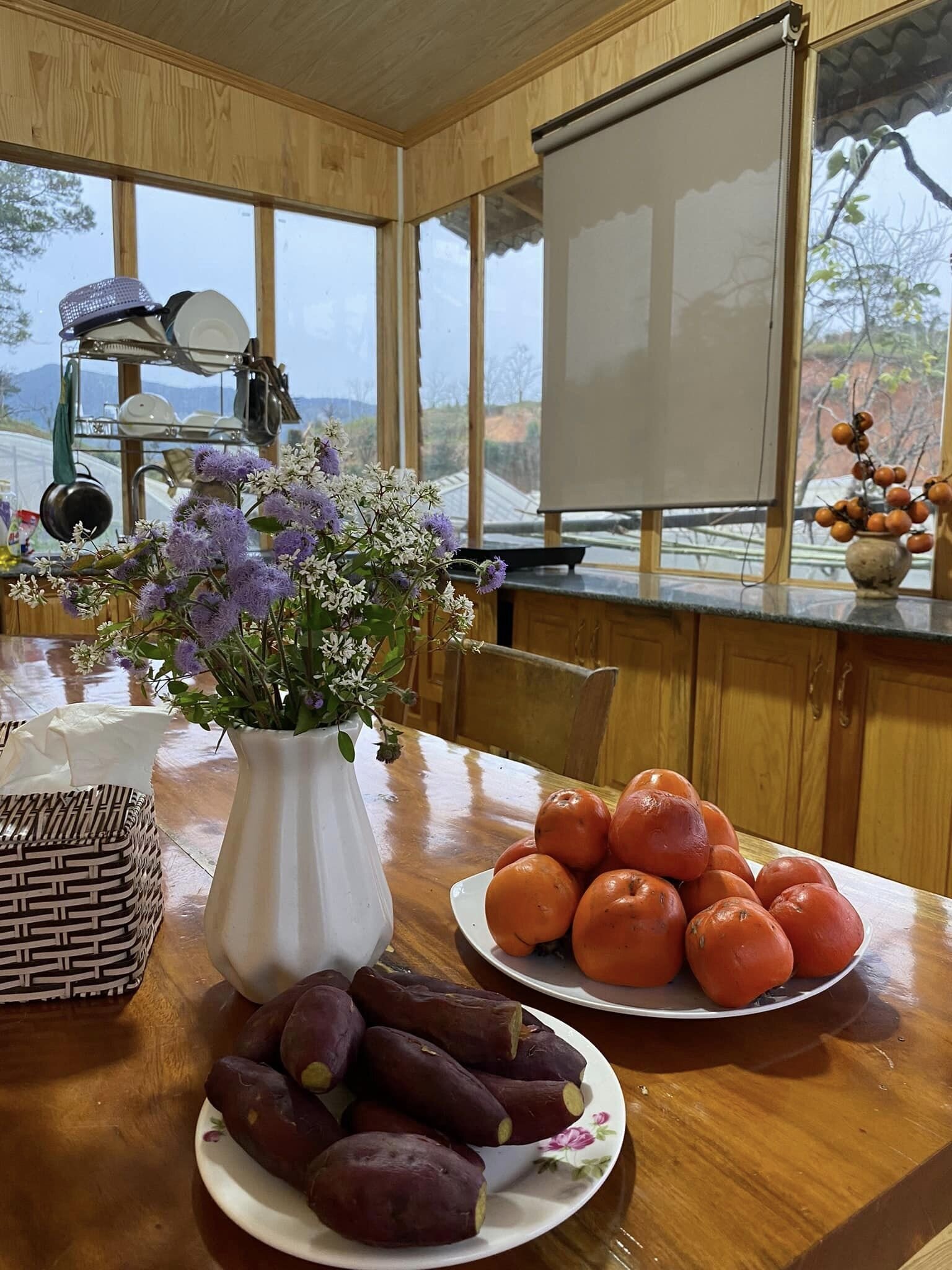 Căn bếp với không gian mở hoàn toàn, chủ nhân có thể vừa làm bếp, vừa nhìn ngắm vườn.