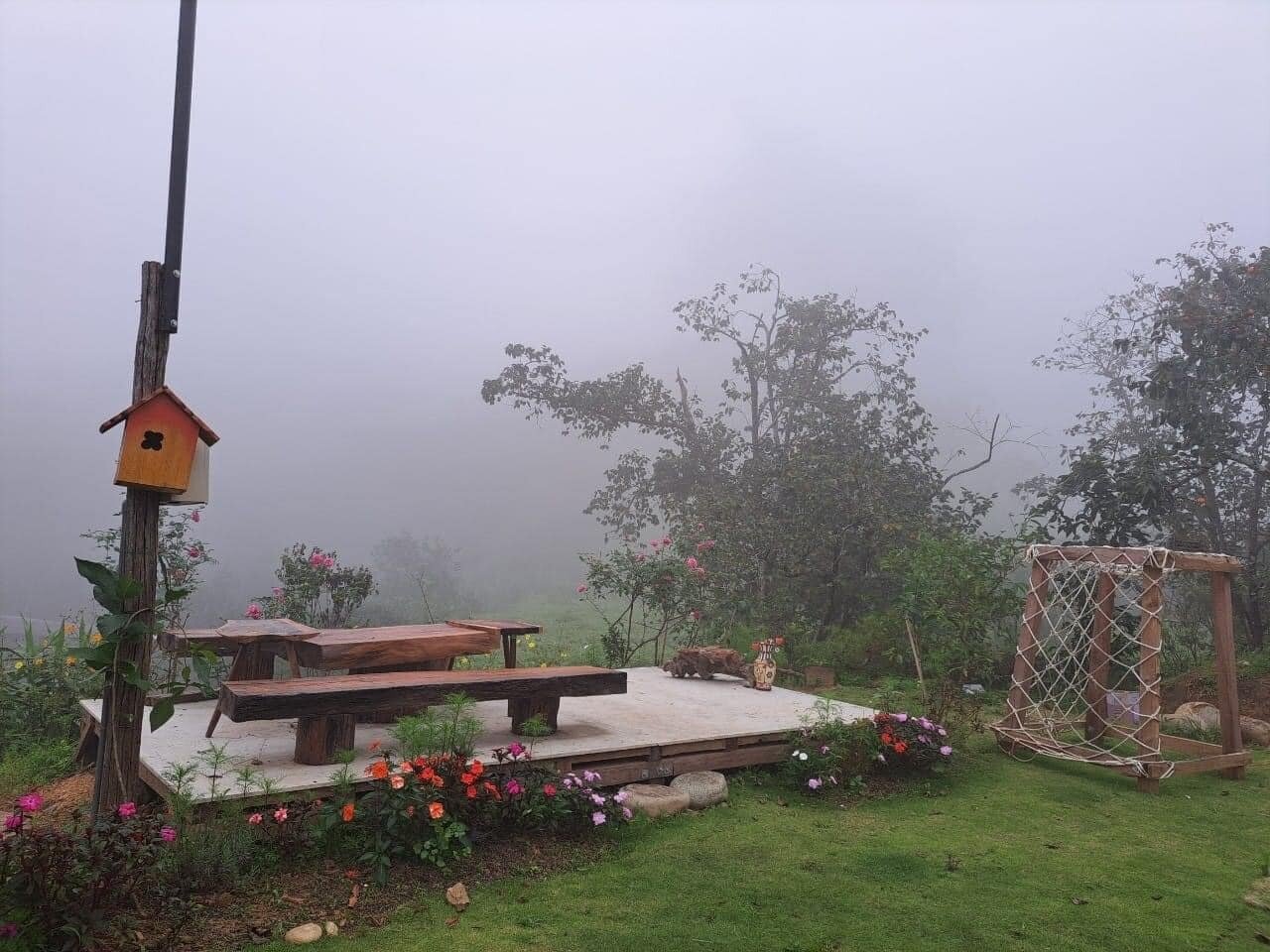 Một góc vườn lúc trời mù sương.