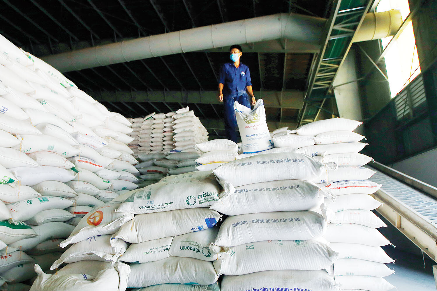 Giá gạo biến động sau sự kiện Ấn Độ cấm xuất khẩu mặt hàng này, doanh nghiệp gạo Việt Nam sẽ có cả cơ hội và thách thức.