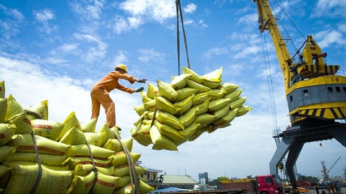 Bộ Nông nghiệp và Phát triển nông thôn vừa có Tờ trình kiến nghị Thủ tướng Chính phủ ban hành Chỉ thị về tăng cường công tác xuất khẩu gạo trong tình hình mới. (Ảnh minh họa: KT)