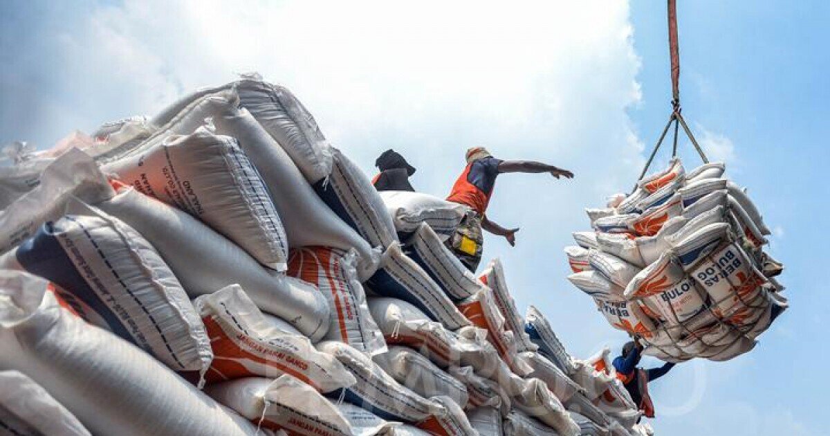Lãnh đạo Cục Trồng trọt cho biết, doanh nghiệp Việt Nam cần chớp thời cơ để tăng cường xuất khẩu gạo ra thế giới.