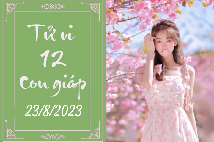 Tử vi vui 12 con giáp hôm nay ngày 23/8/2023: Mão thay đổi, Ngọ quyết liệt (Ảnh minh họa).