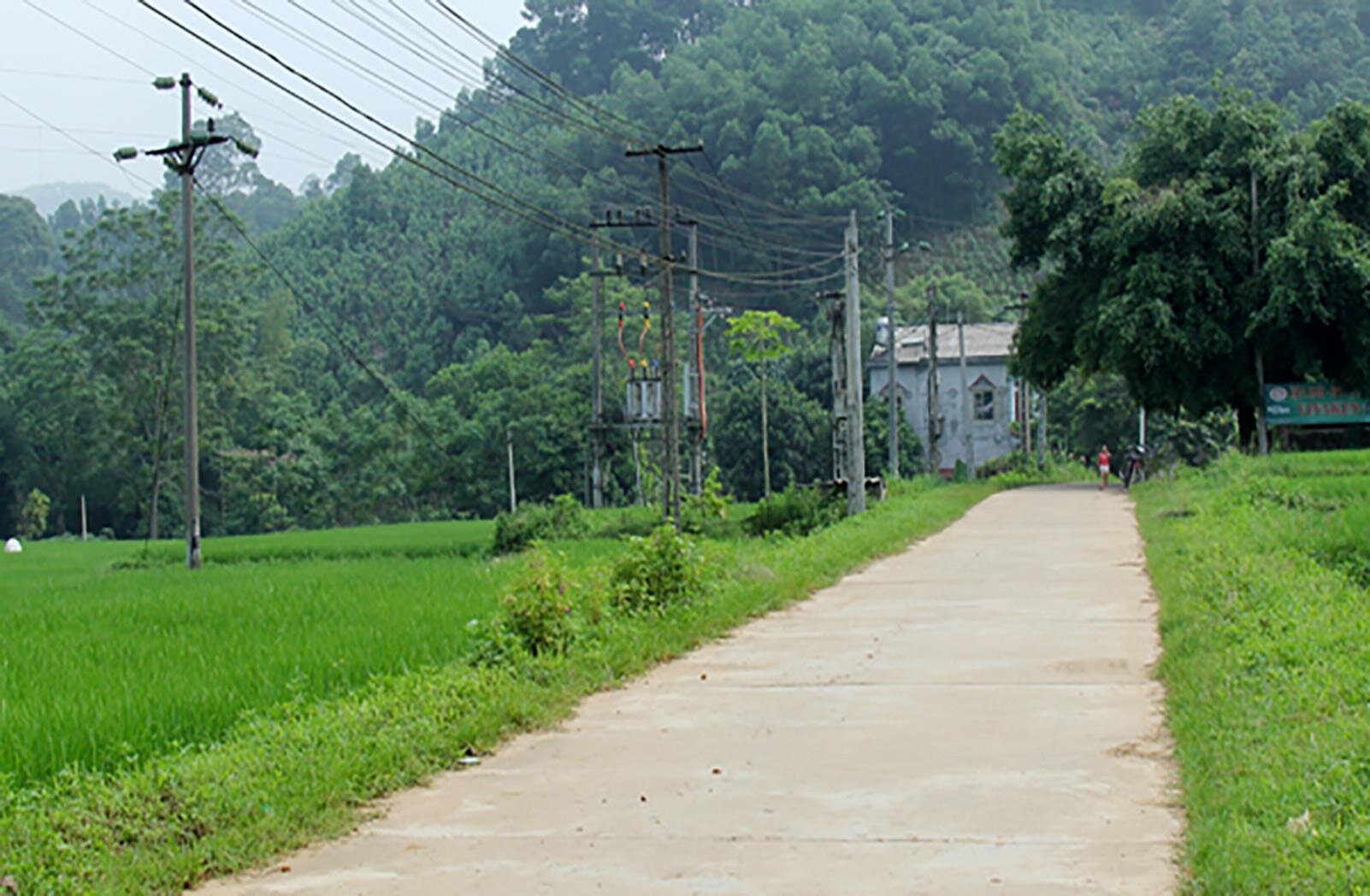 Khu vực vào xã Hòa Cuông, huyện Trấn Yên, địa bàn xảy ra vụ việc. (Ảnh: Dũng Anh)