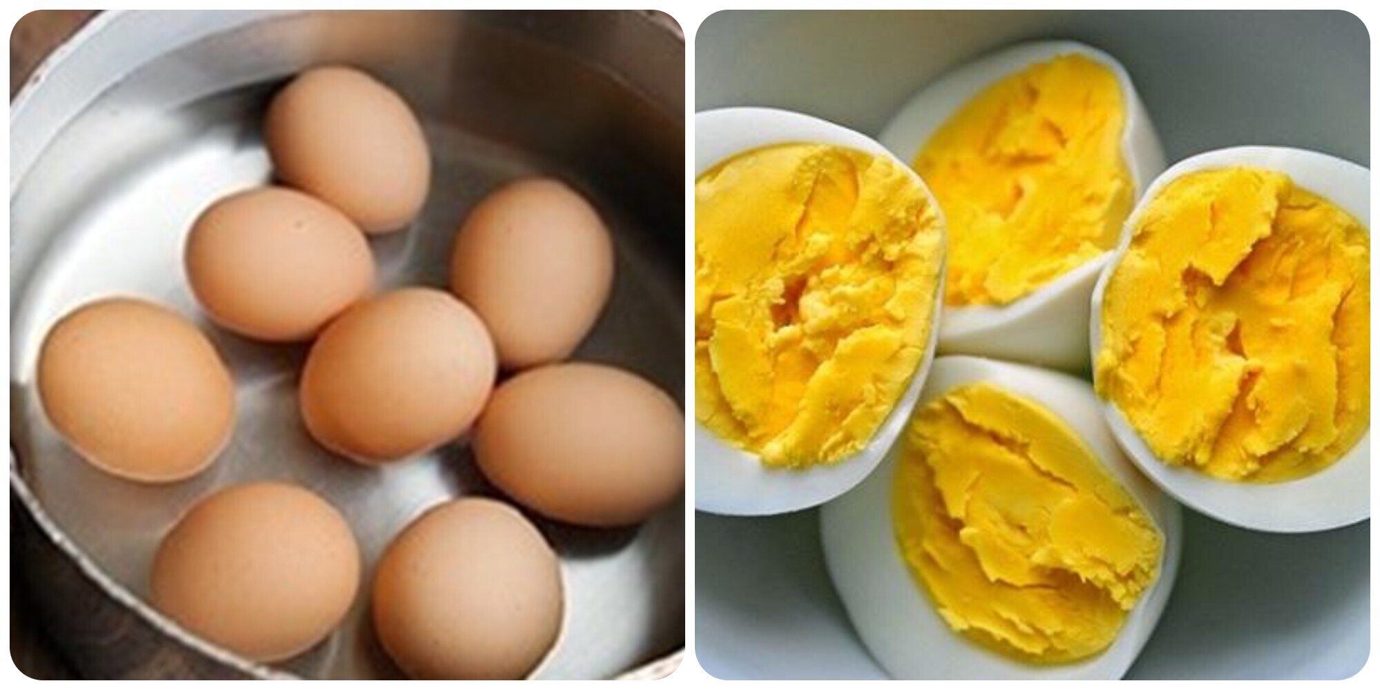 Ăn trứng gà luộc điều độ rất tốt cho sức khoẻ.