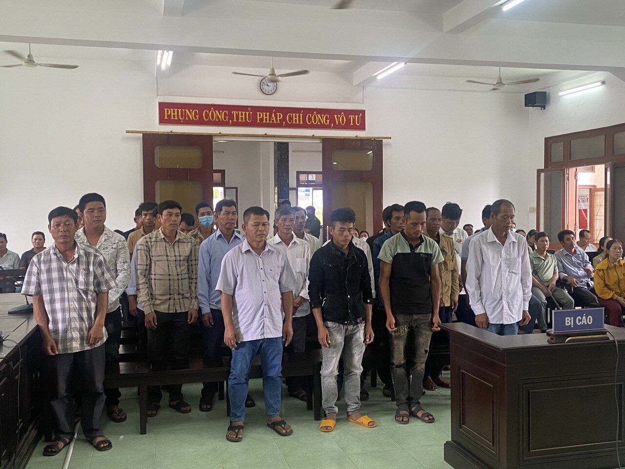 Các bị cáo trong vụ hủy hoại rừng tại khu vực Hòn Đót, khoảnh 6, tiểu khu 170 thuộc xã Sơn Định, Sơn Hòa tại Tòa án Nhân dân tỉnh Phú Yên.