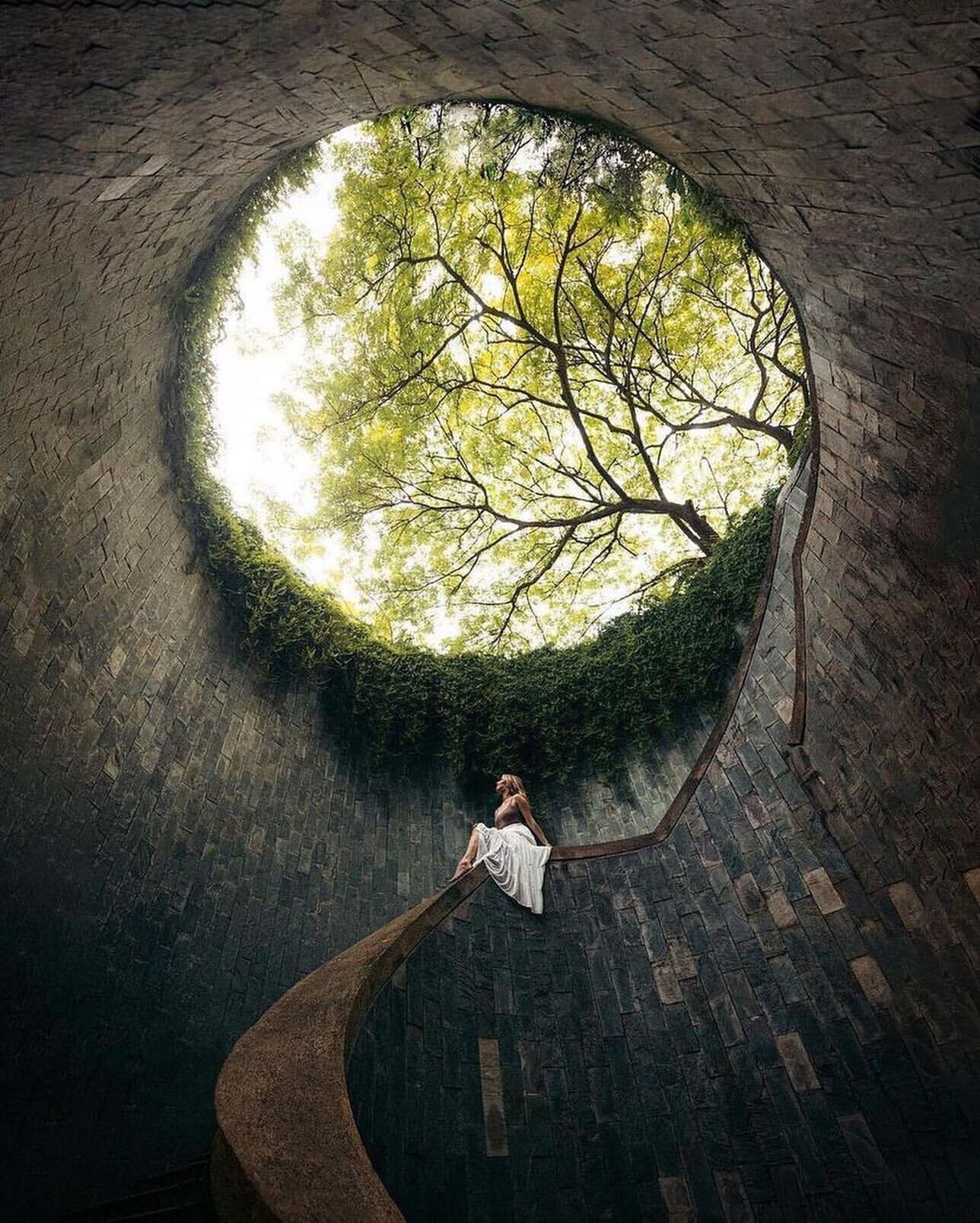 Công viên Fort Canning nổi tiếng với đường hầm cây Fort Canning Tree Tunnel, góc chụp hình nổi tiếng nhất mạng xã hội ở Singapore.