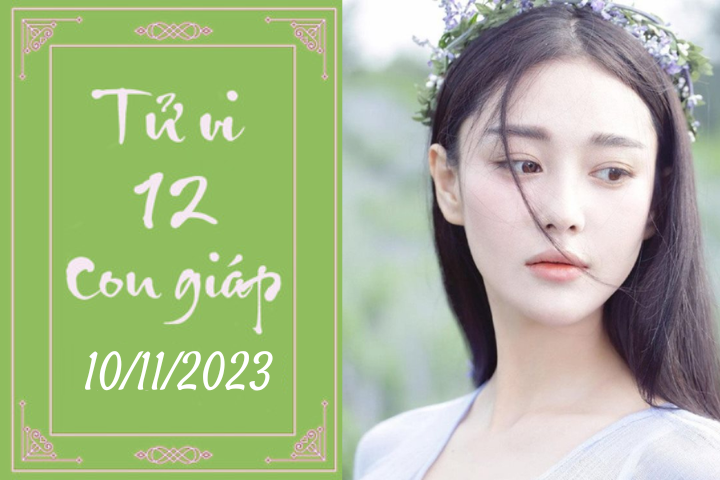 Tử vi vui 12 con giáp hôm nay ngày 10/11/2023: Dậu áp lực, Thìn cải thiện (Ảnh minh họa).