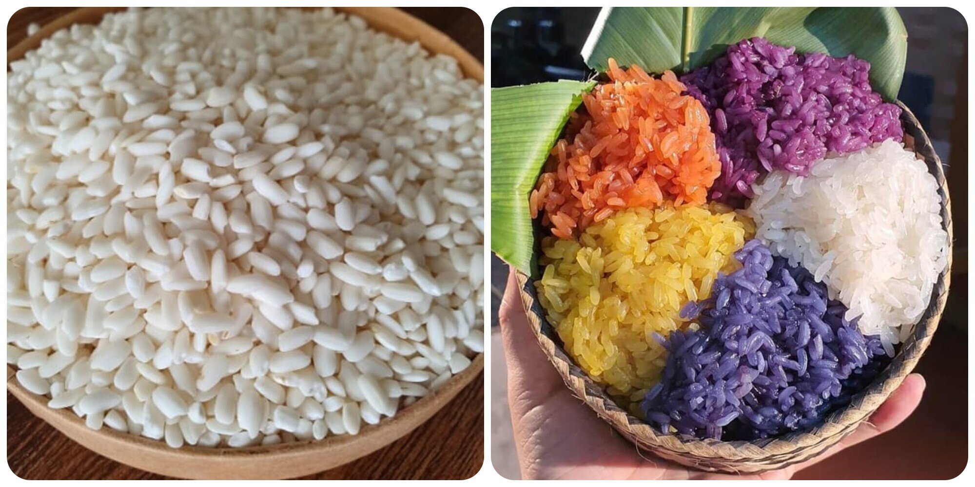 Gạo nếp có nhiều tác dụng với sức khoẻ