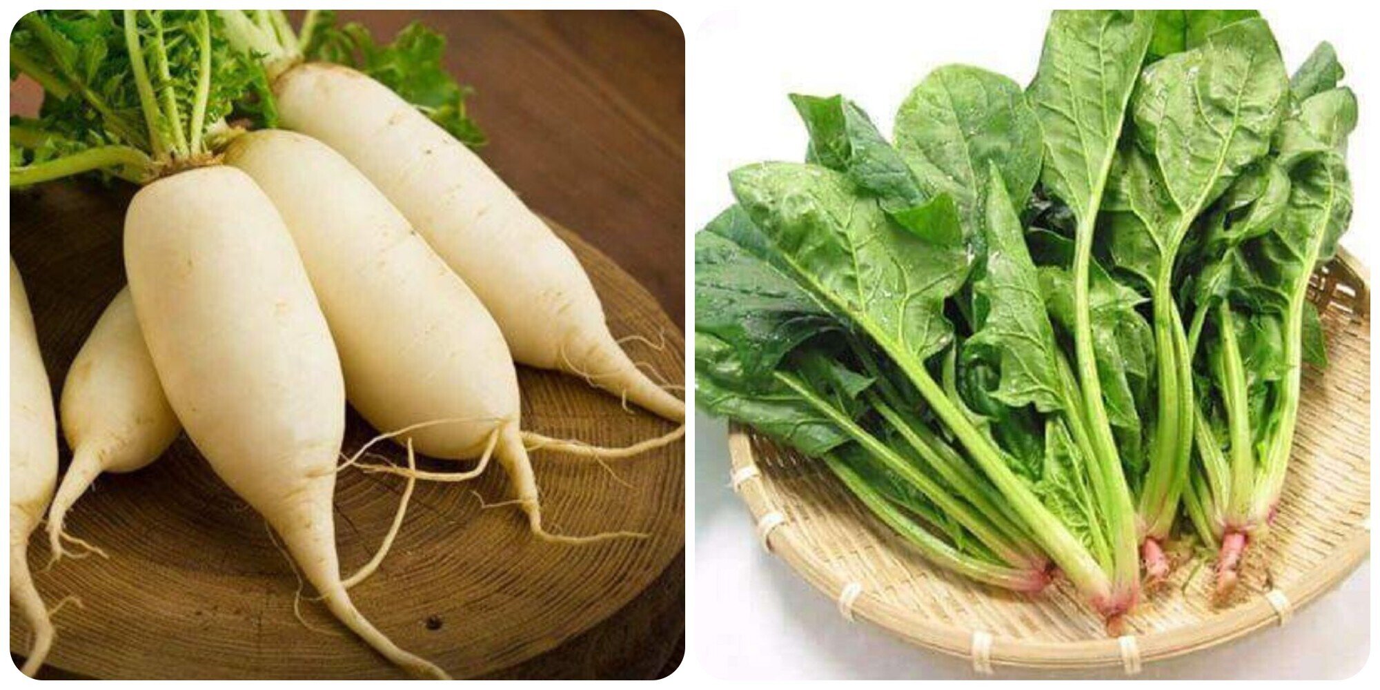 Củ cải trắng và cải bó xôi rất tốt cho sức khoẻ.