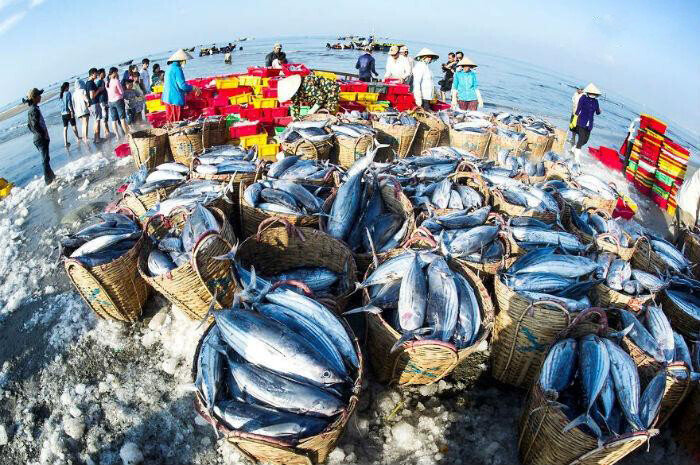Làng chài Long Hải được xem là một trong những chợ đầu mối lớn nhất về thủy hải sản ở Đông Nam Bộ.