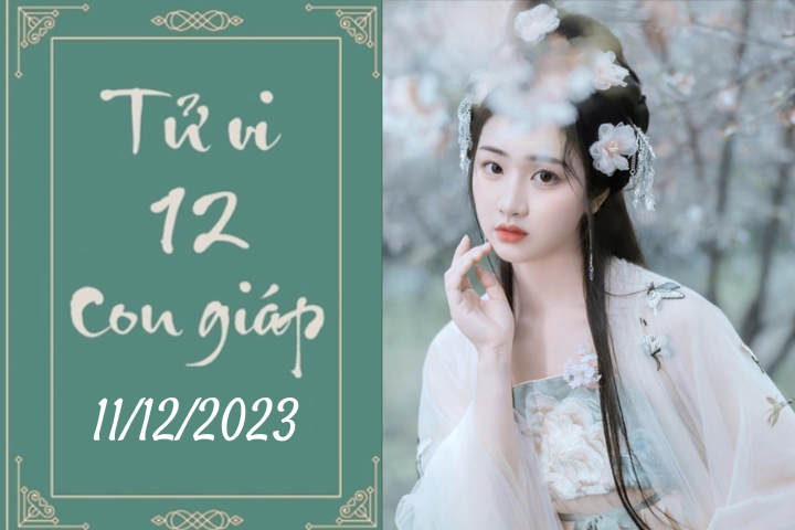 Tử vi vui 12 con giáp hôm nay ngày 11/12/2023: Hợi trân trọng, Dần cầu tiến (Ảnh minh họa)