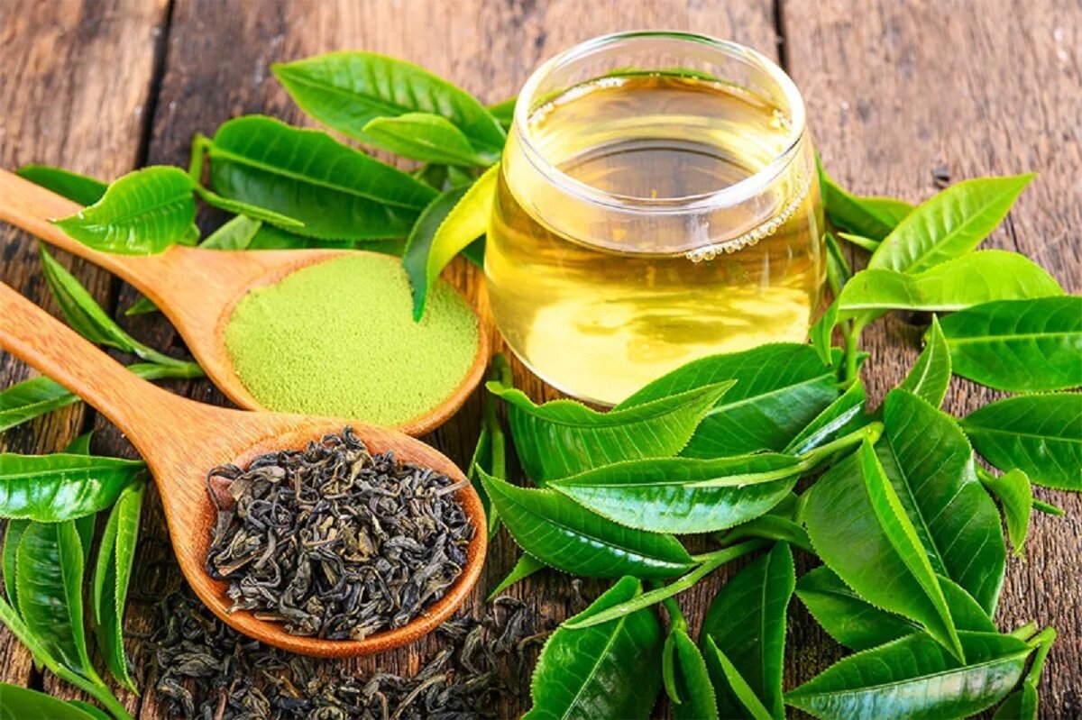 EGCG trong trà xanh có tác dụng chống oxy hóa, làm chậm quá trình lão hóa.