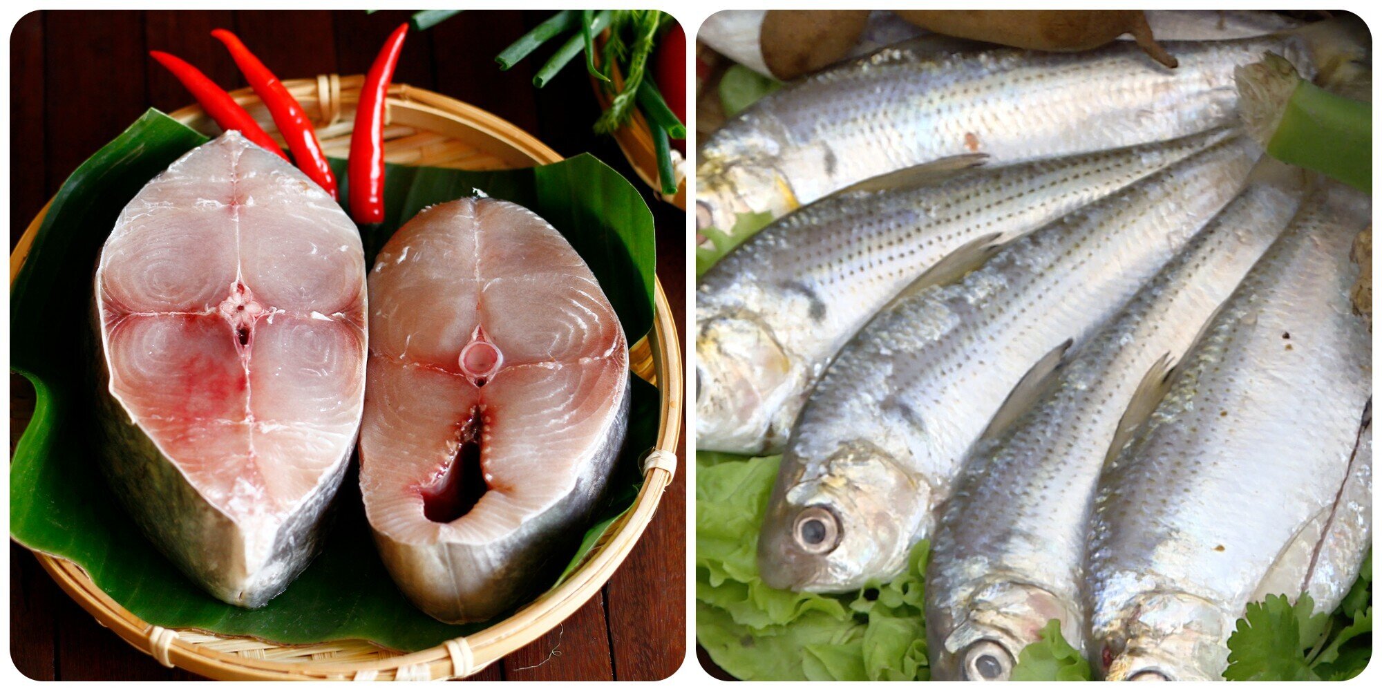 Cá thu và cá mòi là hai loại cá rất giàu dinh dưỡng.
