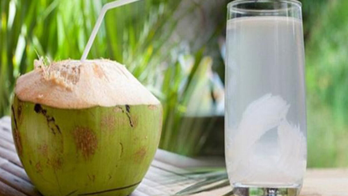 Uống nước dừa lúc đói bụng không gây hại cho sức khoẻ