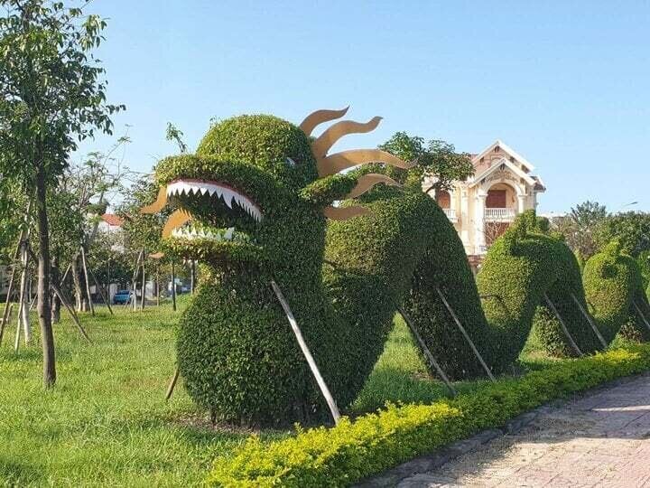 Những linh vật rồng được tạo hình từ cây dương ở đường Võ Nguyên Giáp (xã Bảo Ninh, TP Đồng Hới, tỉnh Quảng Bình) gây nhiều ý kiến tranh cãi. (Ảnh: Hùng Trần)