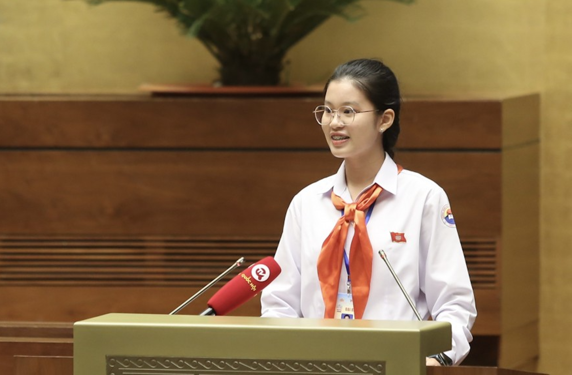 Dang Cat Tien, 9th grade student, Thai Nguyen Secondary School (Nha Trang City, Khanh Hoa).  In 2023, Tien is a delegate attending the mock meeting 