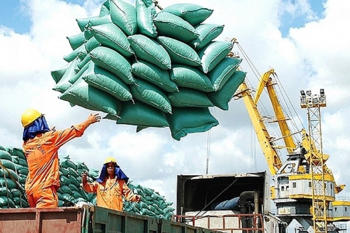 Pháp bất ngờ vượt qua Indonesia và Trung Quốc để trở thành khách hàng lớn thứ 2 của gạo Việt Nam. (Ảnh minh hoạ).