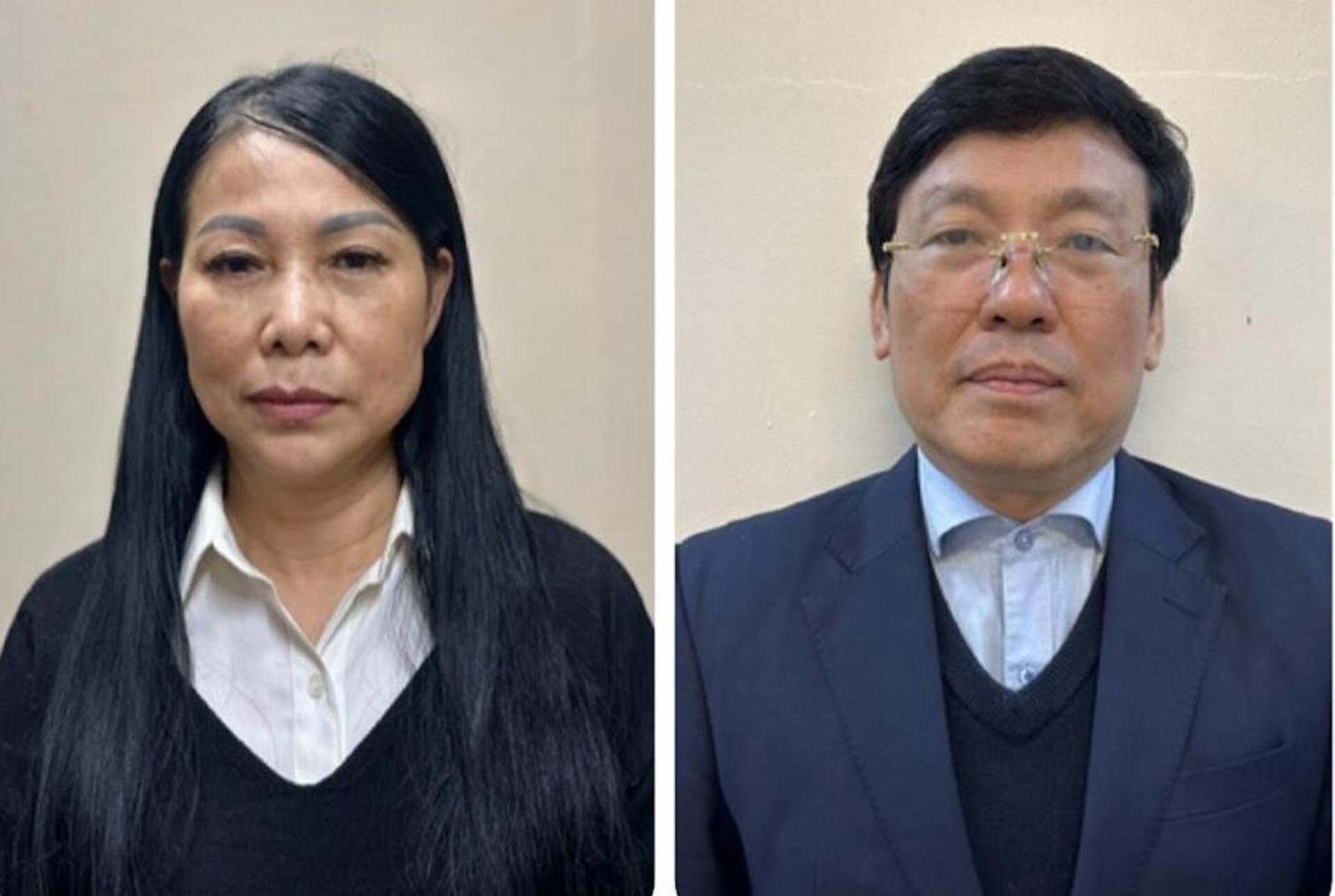 Bà Hoàng Thị Thúy Lan (Bí thư Tỉnh ủy Vĩnh Phúc) và ông Lê Duy Thành (Chủ tịch UBND tỉnh Vĩnh Phúc) bị bắt về tội Nhận hối lộ.