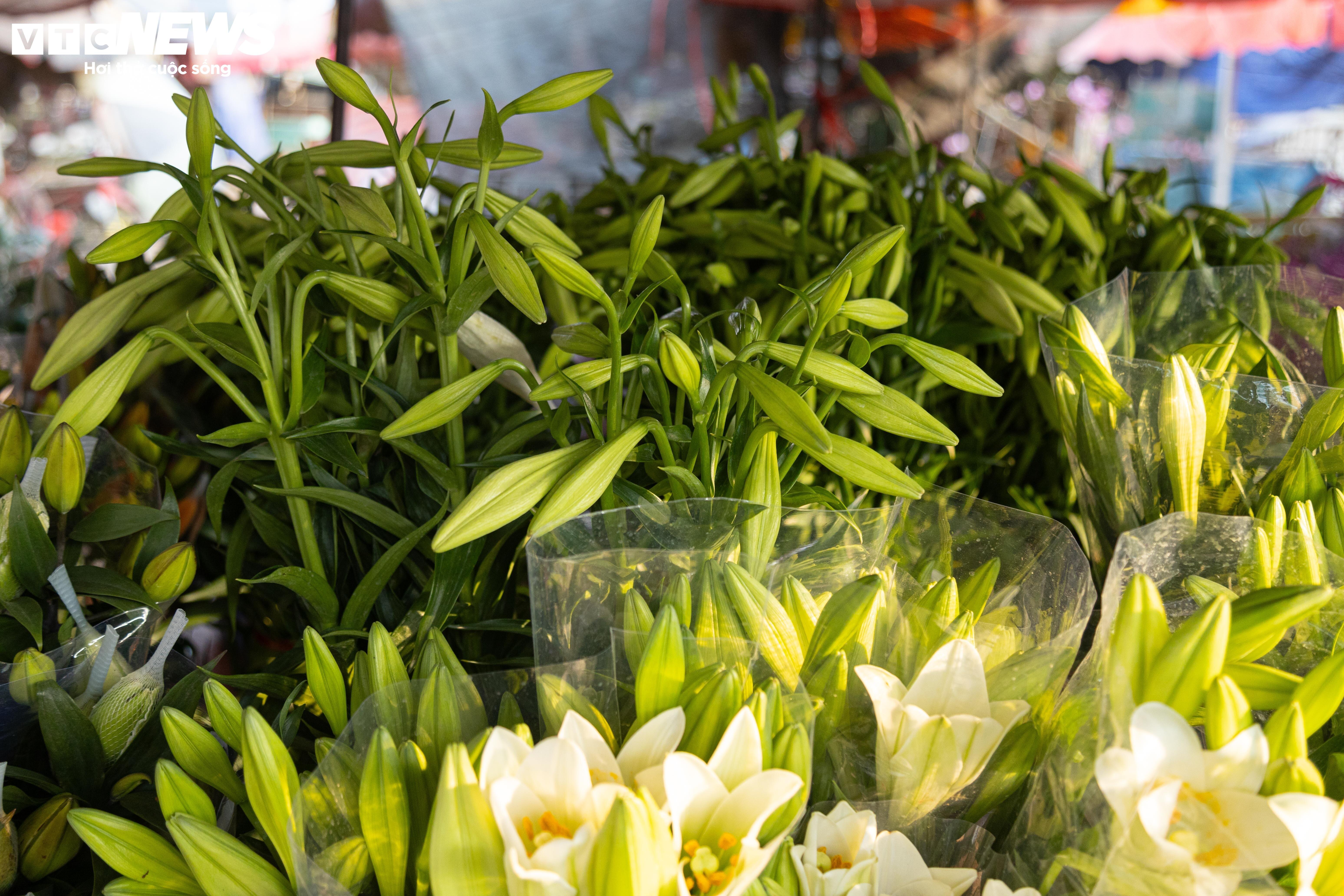 Hoa loa kèn đầu mùa giá cao gấp khoảng 3 lần so với chính vụ.