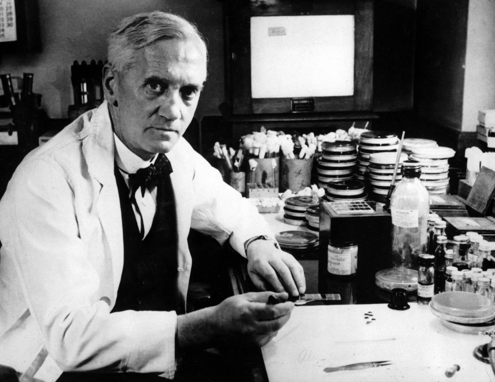 Alexander Fleming bước vào lĩnh vực y tế năm 1901, theo học tại trường Y học Bệnh viện St. Mary (Đại học London). Khi học tại St. Mary, ông giành được huy chương vàng năm 1908 với tư cách là sinh viên y khoa hàng đầu. (Ảnh: britannica)