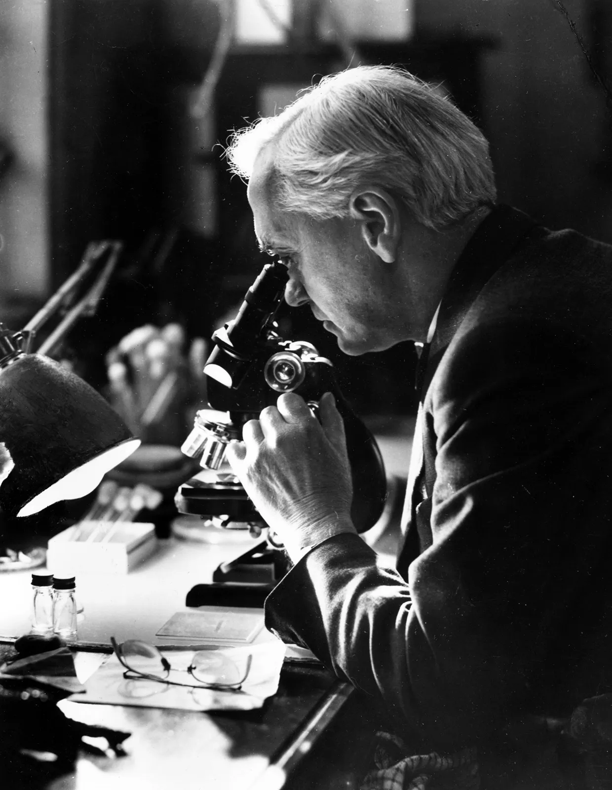 Năm 1928, Fleming trở lại phòng thí nghiệm tiếp tục nghiên cứu môi trường nuôi cấy Tụ cầu vàng (tên khoa học là Staphylococcus aureus, loại vi khuẩn tụ cầu có tính độc cao). Ông phát hiện ra rằng, các khuẩn tụ cầu vàng xung quanh loại nấm mốc này đã bị tiêu diệt hoàn toàn. (Ảnh: britannica)
