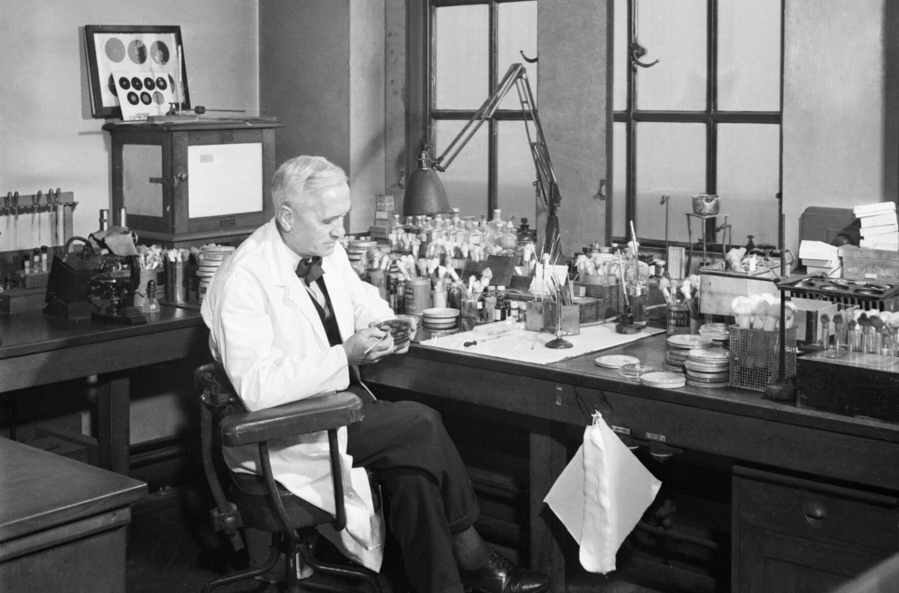 Fleming tuyển 2 nhà nghiên cứu trẻ để cùng hợp tác chỉ ra rằng penicillin có tiềm năng lâm sàng, cả ở dạng bôi và dạng tiêm nếu nó có thể được phát triển đúng cách. (Ảnh: radicalteatowel)