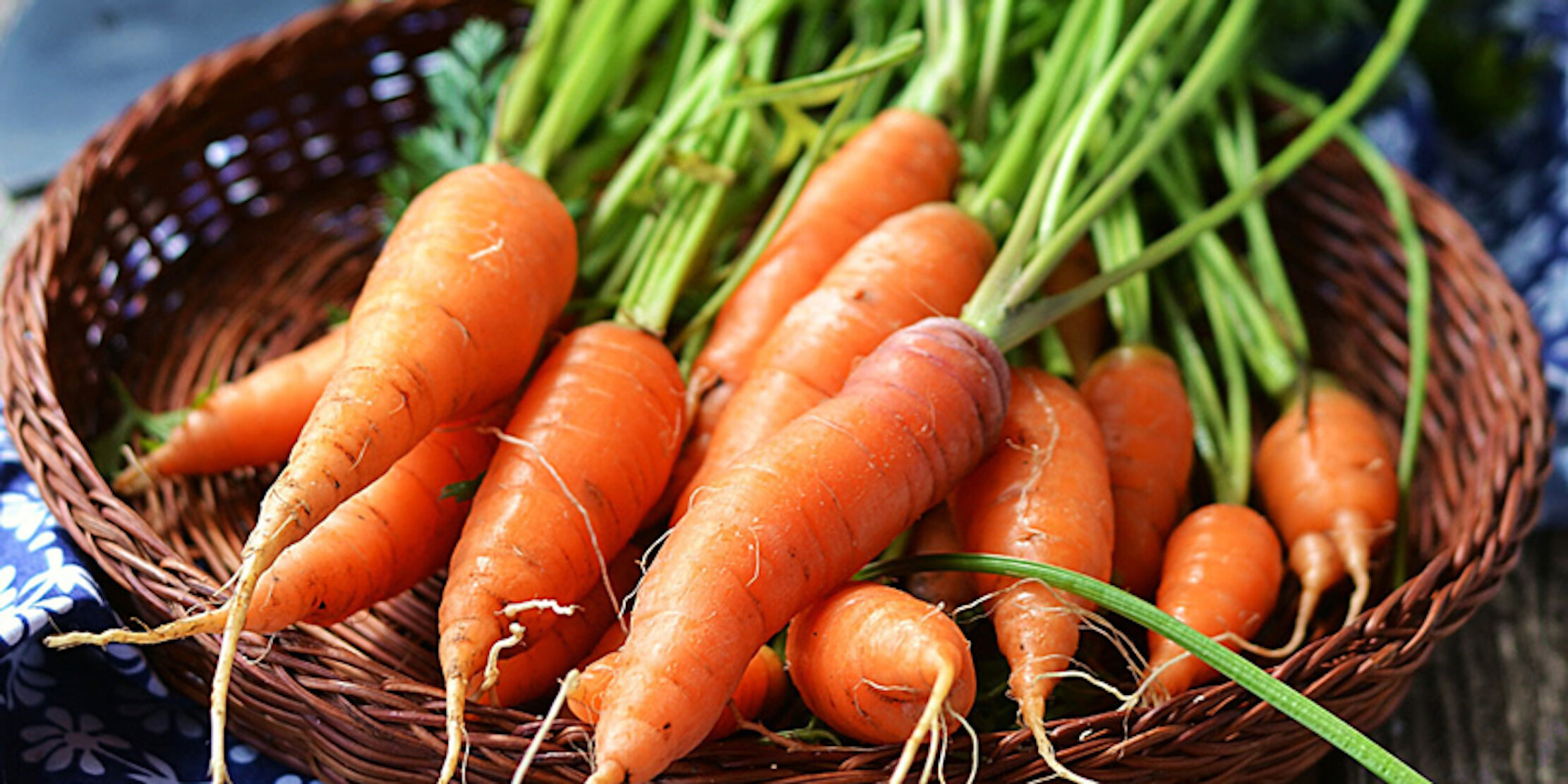 Lợi ích tuyệt vời của cà rốt với sức khỏe - 2