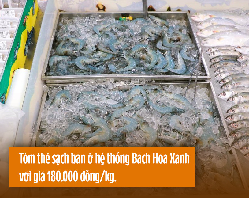 CEO 'vua tôm' Minh Phú: Thuyết phục người Việt ăn tôm sạch nhưng bất thành - 3