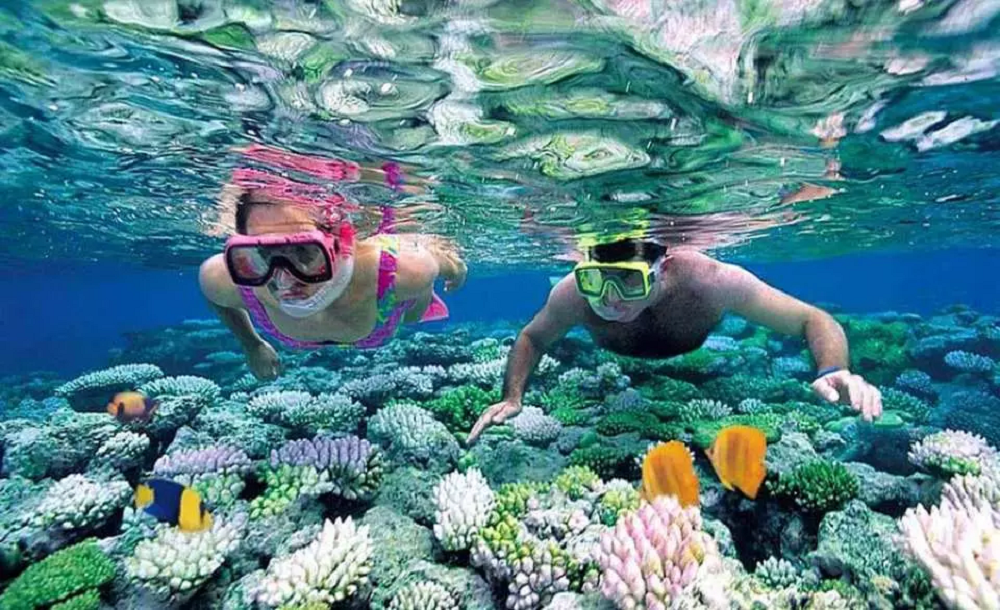 Lặn biển ngắm san hô là trải nghiệm được nhiều người yêu thích. (Ảnh: kkday.com)