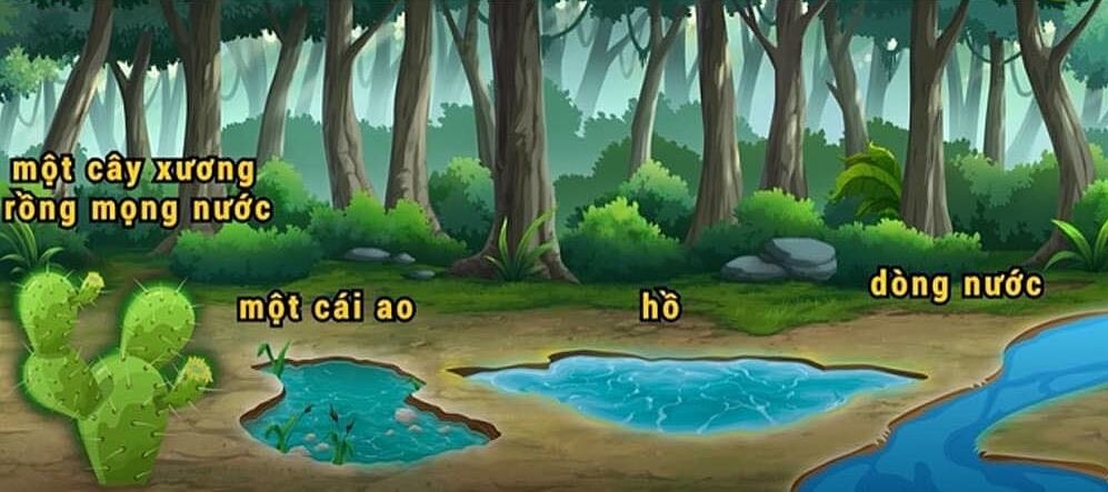 Câu hỏi phỏng vấn vào công ty top 1 thế giới, đố bạn giải được?