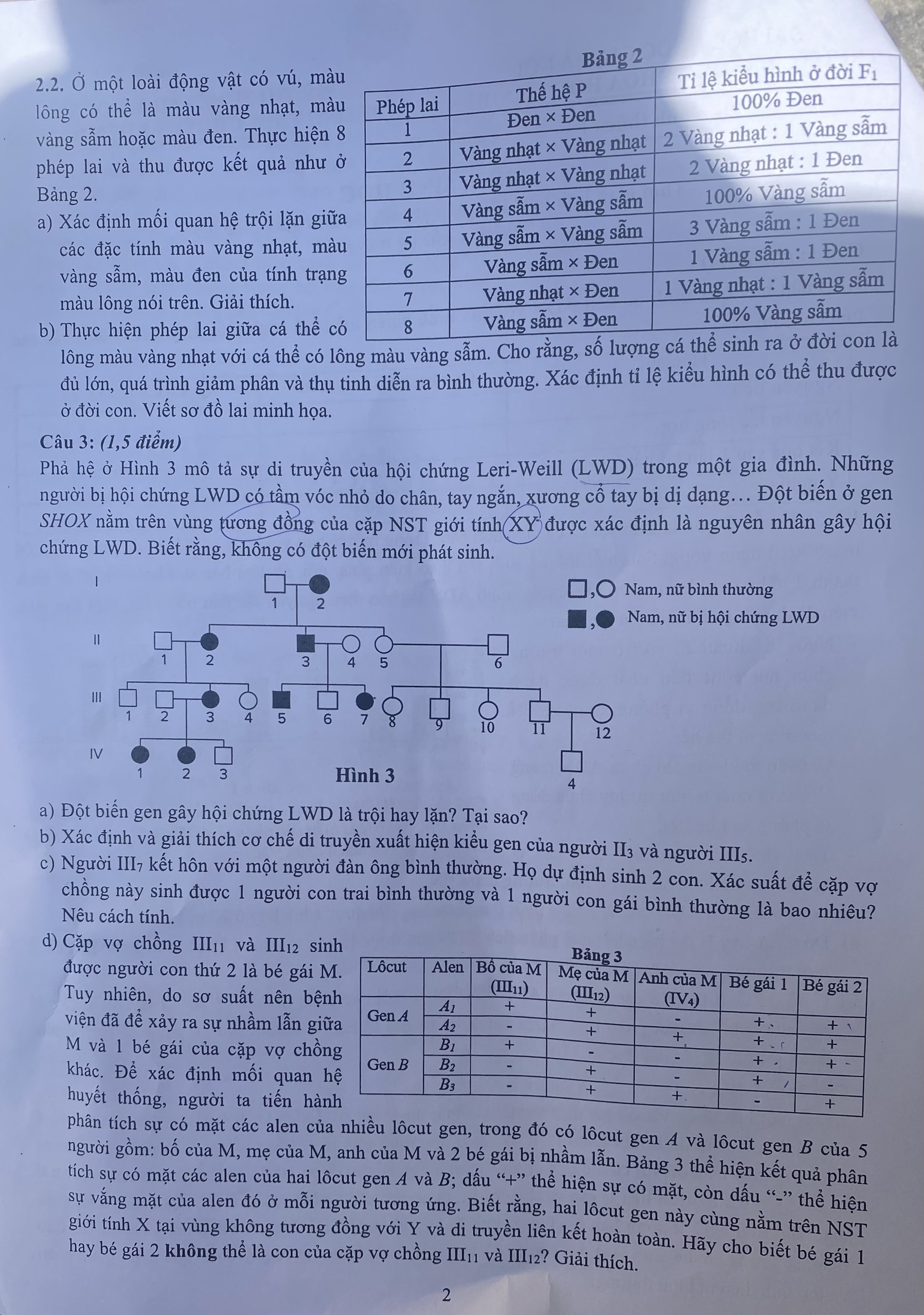 Đề thi Toán, Sinh học vào lớp 10 THPT chuyên Khoa học Tự nhiên Hà Nội - 3