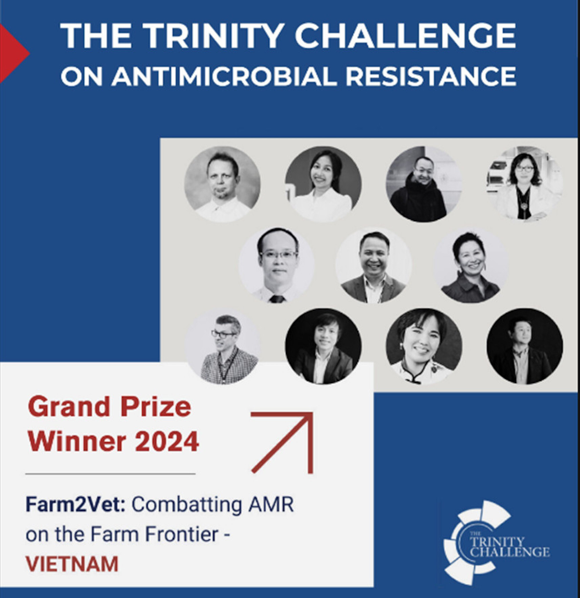 Dự án được dẫn dắt bởi các giảng viên VinUni về kháng kháng sinh trong Thú y.