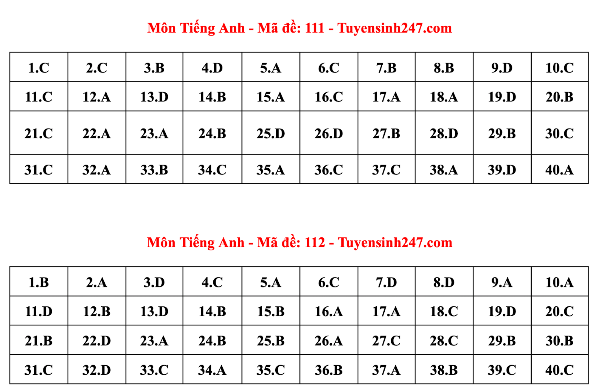 Gợi ý đáp án đề thi môn tiếng Anh lớp 10 Hà Nội năm 2024 - 10