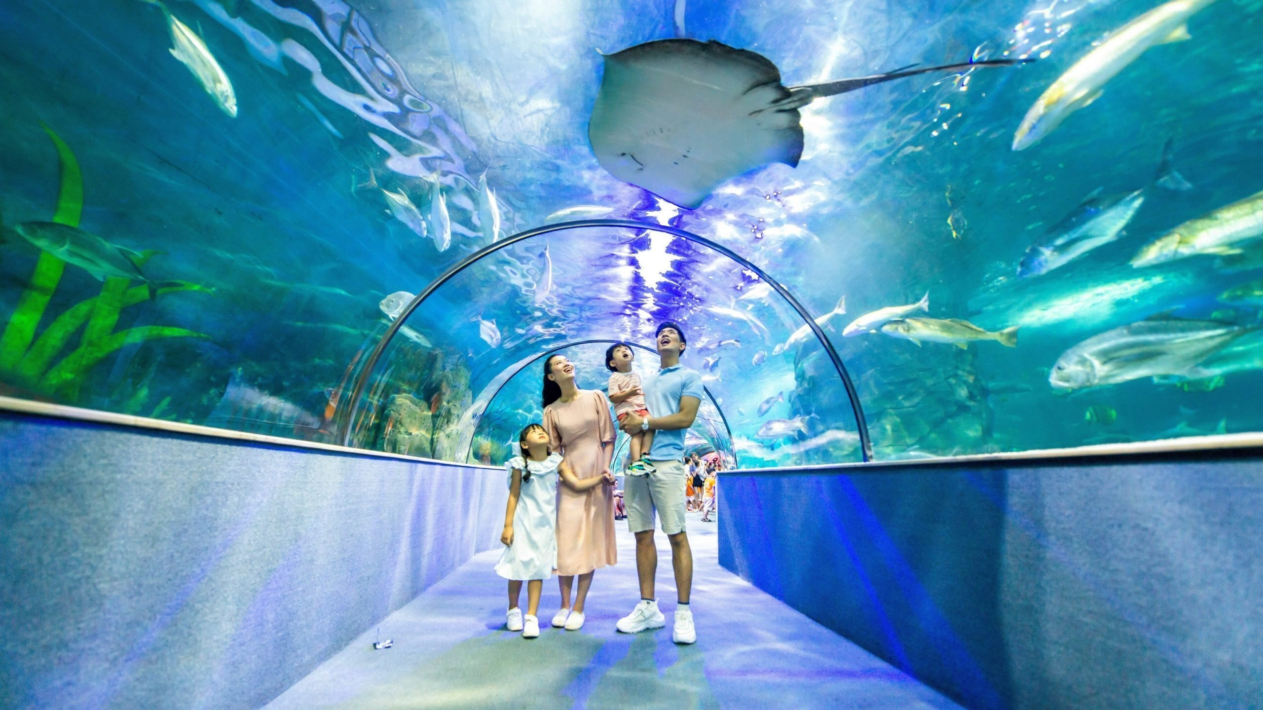 Nếu có thời gian rảnh vào cuối tuần thì Vinpearl Aquarium Times City chính là điểm đến thú vị dành cho bạn và gia đình vui chơi.
