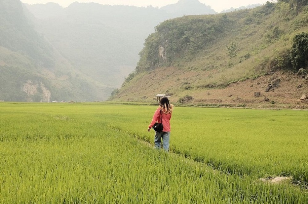 Mùa nào trong năm cũng phù hợp để du lịch Tủa Chùa.