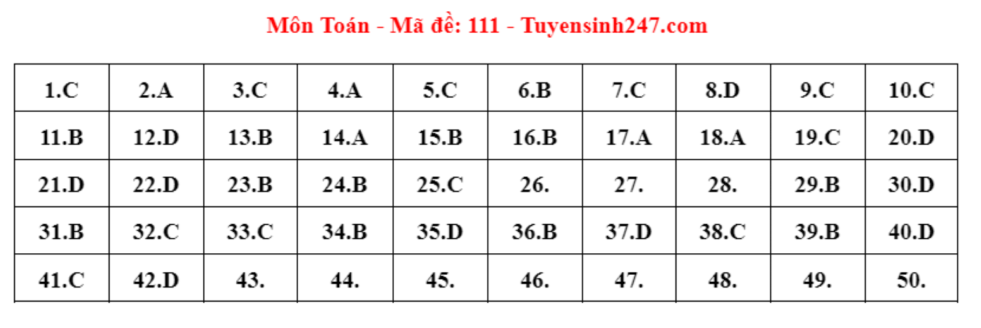 Gợi ý đáp án mã đề 111 môn Toán thi tốt nghiệp THPT 2024 - 1