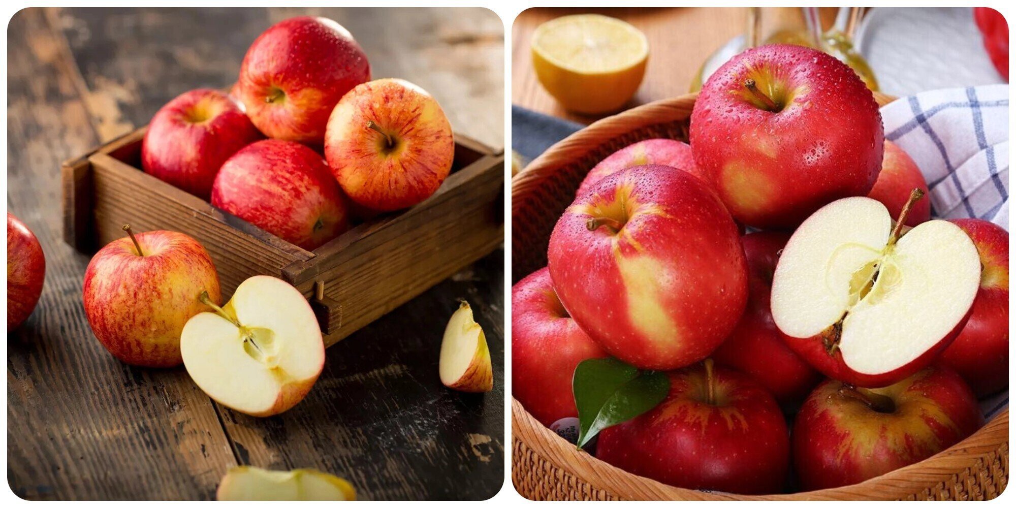 Ăn một quả táo mỗi ngày rất tốt cho sức khoẻ.