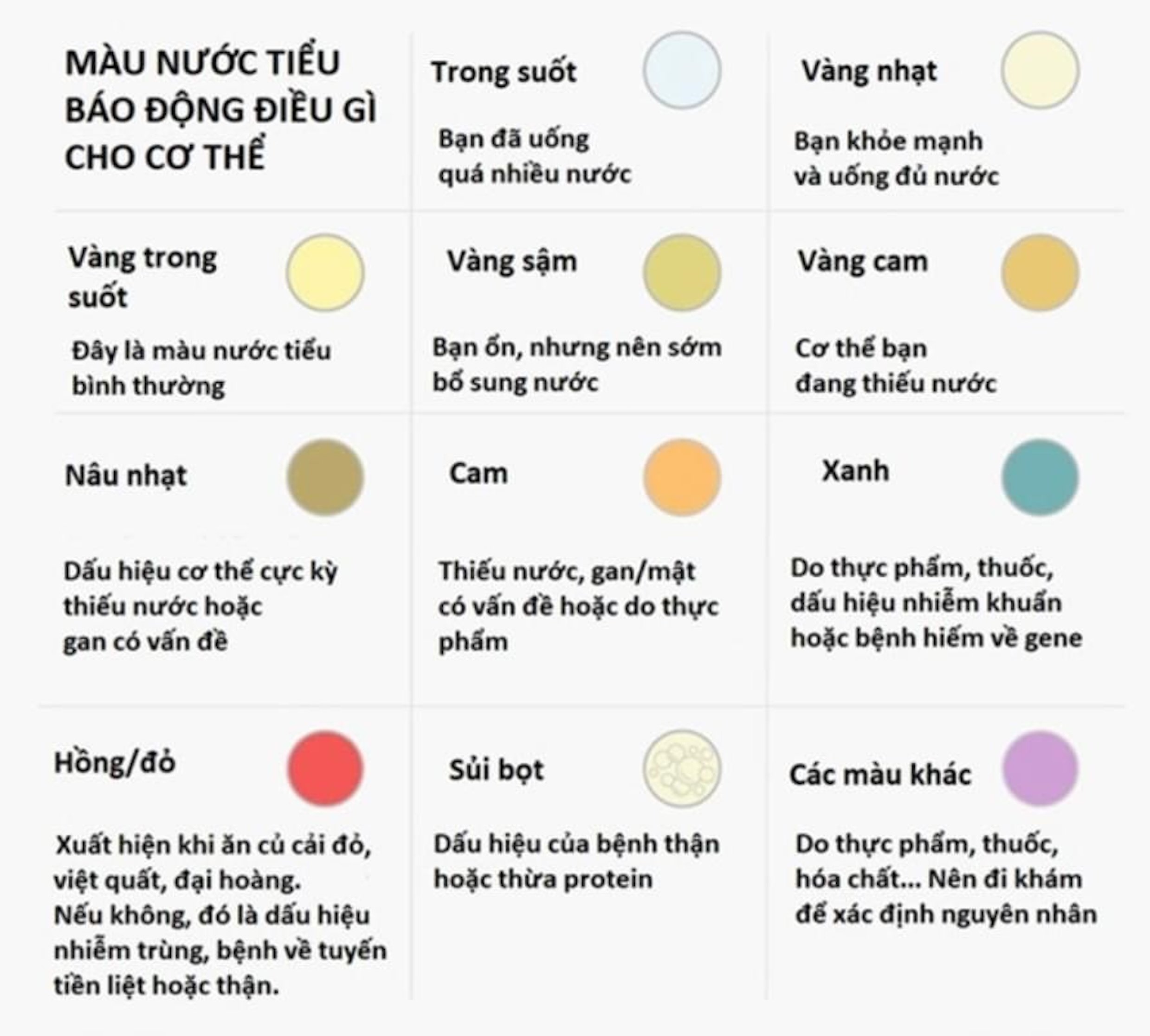 Màu của nước tiểu có thể phản ánh tình trạng sức khoẻ.