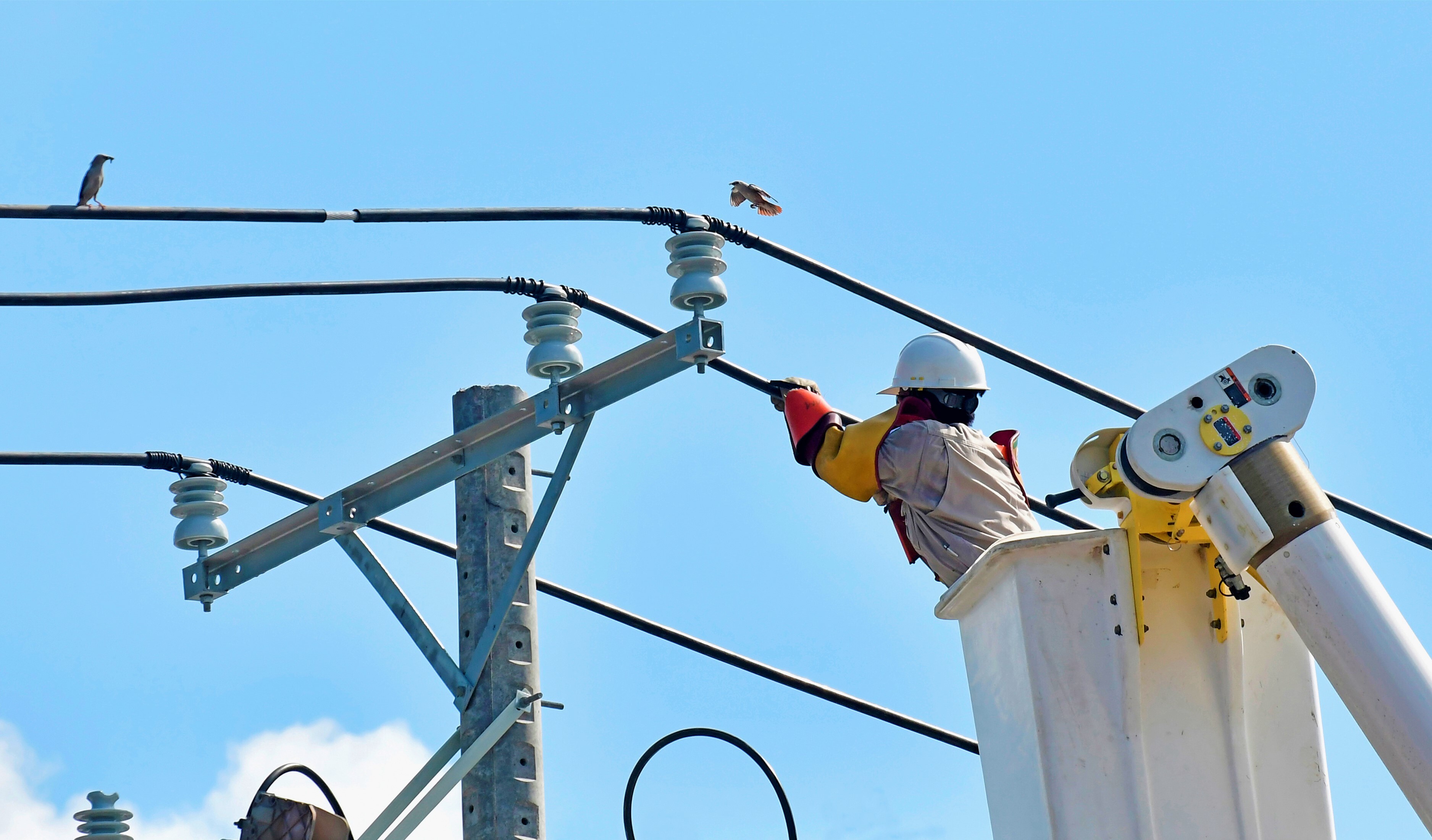 EVNSPC tập trung đảm bảo nguồn điện dịp Quốc khánh 2/9 - 1