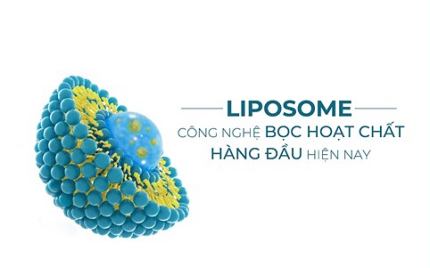 Herichelle - Dầu gội giảm rụng tóc với công nghệ tiên tiến Liposome - 2