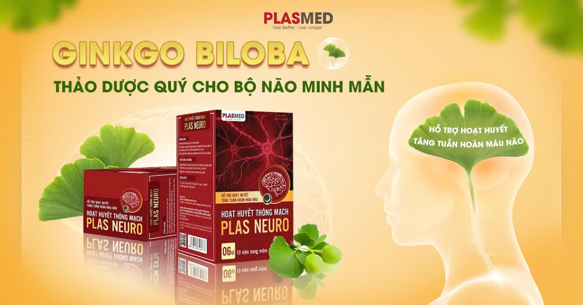 Ginkgo biloba - thảo dược quý cho bộ não minh mẫn - 1